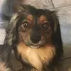 Deb Berry - @deb.berry2 - TikTok