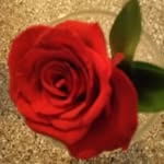 Deb Berry - @debberry21 - Instagram
