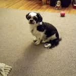 Deb Berry - @debbieberry5342 - Instagram