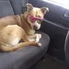 Deb Berry - @deb.berry1 - TikTok