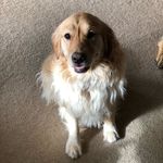 Deb Bishop - @debrajeandancingqueen - Instagram