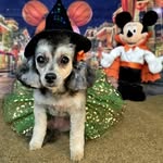 Deb Bishop - @debsquatty - Instagram