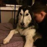 Debbie Bishop - @debbishop70 - Instagram