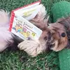 debbieboggs37 - @debbieboggs37 - TikTok