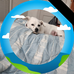 Debra Boggs - Facebook