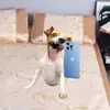 debfesterbooth - @debfesterbooth - TikTok