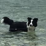 @deb_bowers - Instagram
