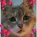 Deb Bowers - Facebook