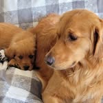 Deb Bowers - @deb.bowers.12 - Instagram