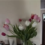 Deb Boyer - @delybo57 - Instagram