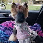 Deb Boyer - @deb.boyer.547 - Instagram