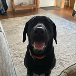 Debra Boyer - @debboyertx - Instagram