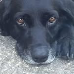 Deb Bradley - @debb748ac - Instagram