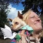 Deb Bradley - @deb.bradley.777 - Instagram