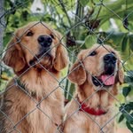 DeB & Bruno - @debandbruno - Instagram