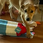 Deb Buckley - @deb0929 - Instagram