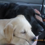 Deb Burbank Demory - @deb.demory - Instagram
