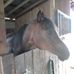 Debbie Burbank Joiner - Facebook