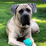 Deb Burnett - @dave_deb.burnett - Instagram