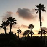 Debbie Burnett - @debburnett_ - Instagram