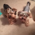 Debra Byers - @byersdebra - Instagram