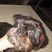 Deb Byrd - Facebook
