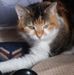 Debra Byrd - Facebook