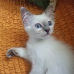 Deb Carey - @careydeb - Instagram