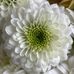 Deb Carey - Facebook