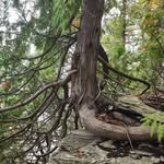 Deb Carey - @carey_deb - Instagram
