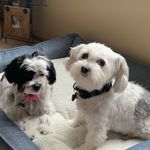 Deb Cavanaugh Mann - @deb_cavanaugh_mann - Instagram