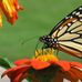 Deb Christensen - Facebook