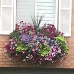 Deb Christensen - @dc1337.79 - Instagram
