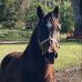 Deb Christensen - Facebook