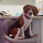 Deb Christensen - @debchristensen58 - Instagram