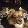 Debra Click - @debra.click6 - TikTok