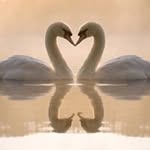 Deb Clifford - @debbiclifford35 - Instagram