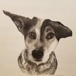 Deb Clifford Geiger - @fureveryourspetportraits - Instagram