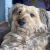 Debbie Clifford - @debbie.clifford4 - TikTok