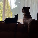 Deb Clifton - @cocomarie46 - Instagram