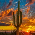 Deb Clifton Coopwood - @aznative57 - Instagram