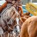 Debbie Crafton - Facebook