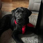 Debra Clifton - @debclifton12 - Instagram