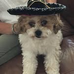 Deb Falos Coates - @deb.f.coates - Instagram