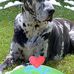 Deb Cobb - Facebook