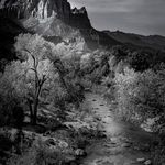 DebCochraneImages_bnw - @debcochraneimages_bnw - Instagram