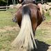 Deb Britzke Cody - Facebook
