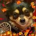 Deb Cody - Facebook