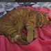 Deb Cody - Facebook