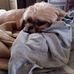 Deb Cody - Facebook
